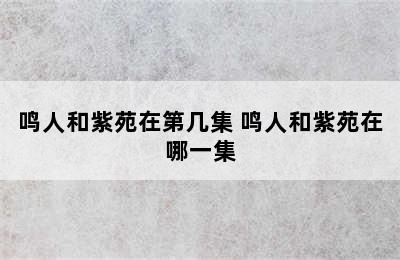 鸣人和紫苑在第几集 鸣人和紫苑在哪一集